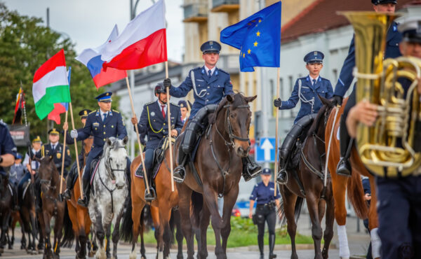zdjęcie do artykułu